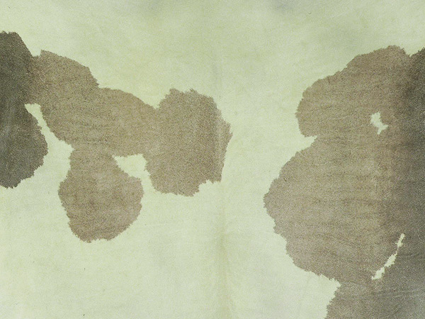Pergament - Handmade Calfskin Parchment