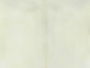 Pergament - Handmade Uterine-Calfskin Parchment