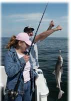 Theresa Tonte - Artisans of the Valley - Fishing for Sharks 2