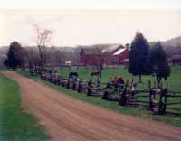 Howell Living Historical Farm - Entrance Road Image