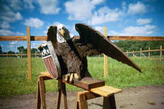 Artisans of the Valley feature Chainsaw Carving by Bob Eigenrauch - Eagle with Shield Right
