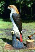 Artisans of the Valley feature Chainsaw Carving by Bob Eigenrauch - Red Tail Hawk