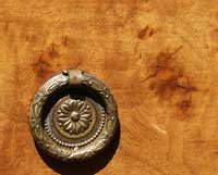 Cracking Burl Walnut Veneer